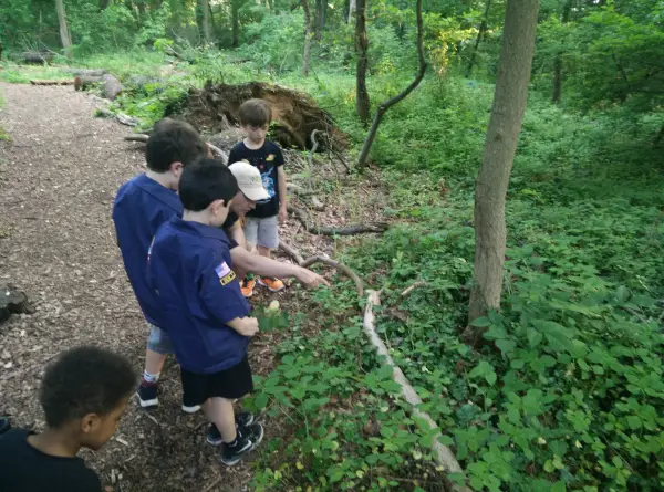Exploring on a den hike