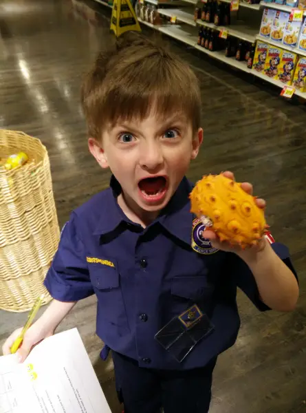Checking out a kiwano melon